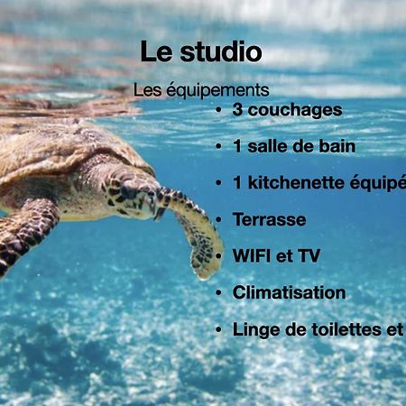 Studio Hippocampe P&V Sainte-Luce Εξωτερικό φωτογραφία